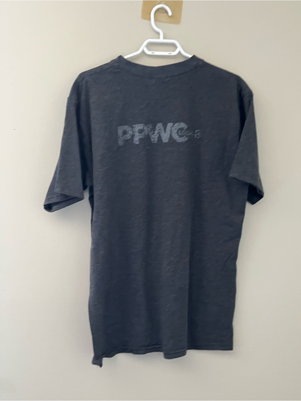 PPWC Public & Private Workers of Canada Graphic T-Shirt Gray Size Large - Picture 2 of 7